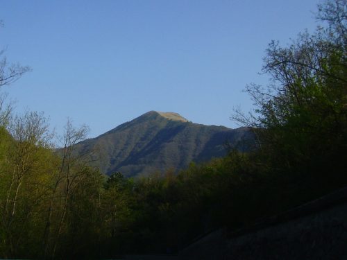 Monte Alfeo mt. 1651