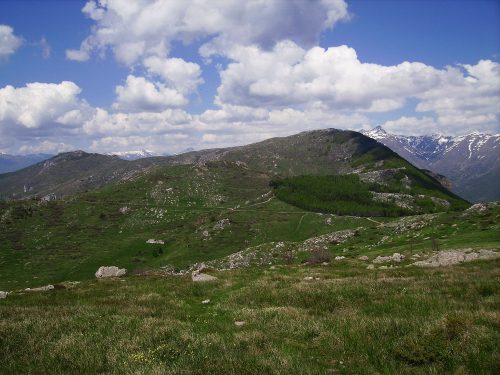 Monte Dubasso e Monte Armetta mt. 1538-1739
